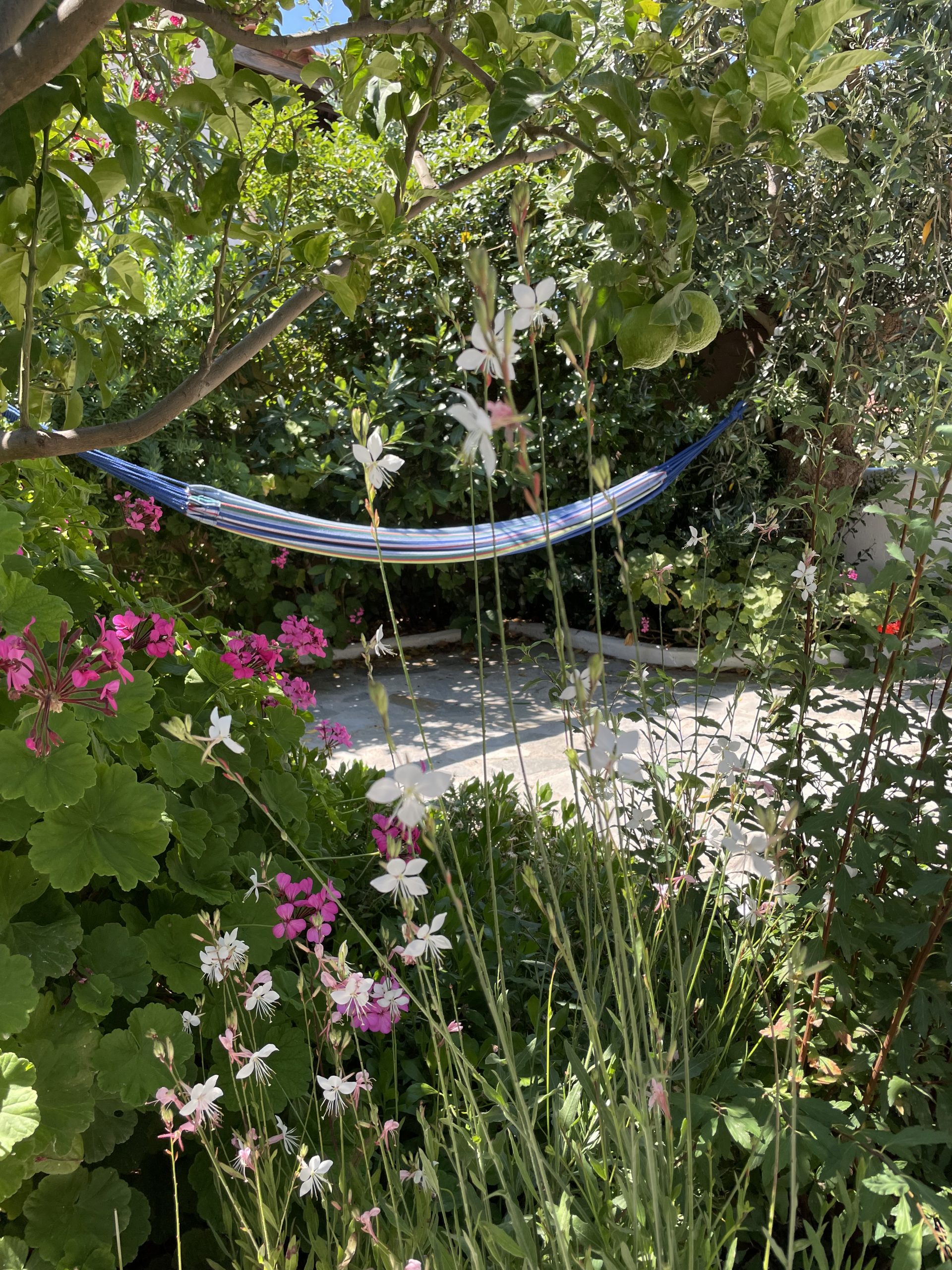 Calm, beauty and serenity