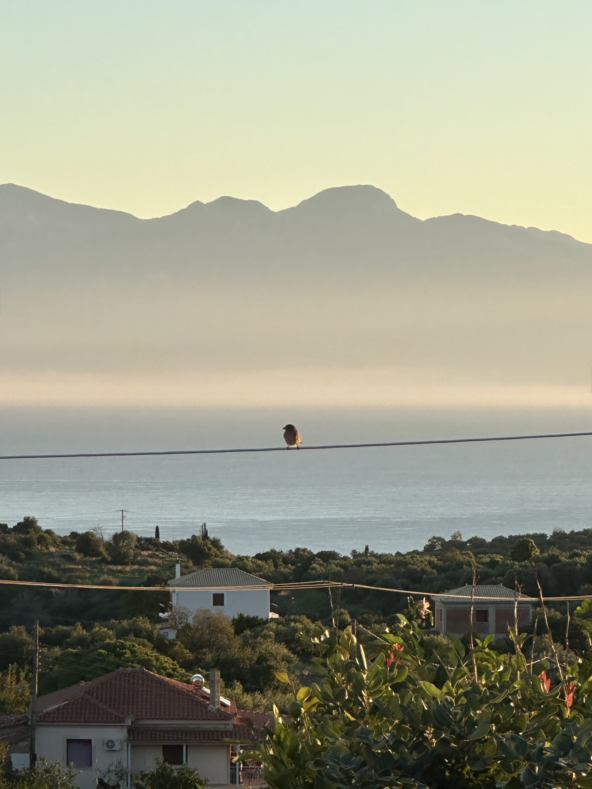 It’s a special place